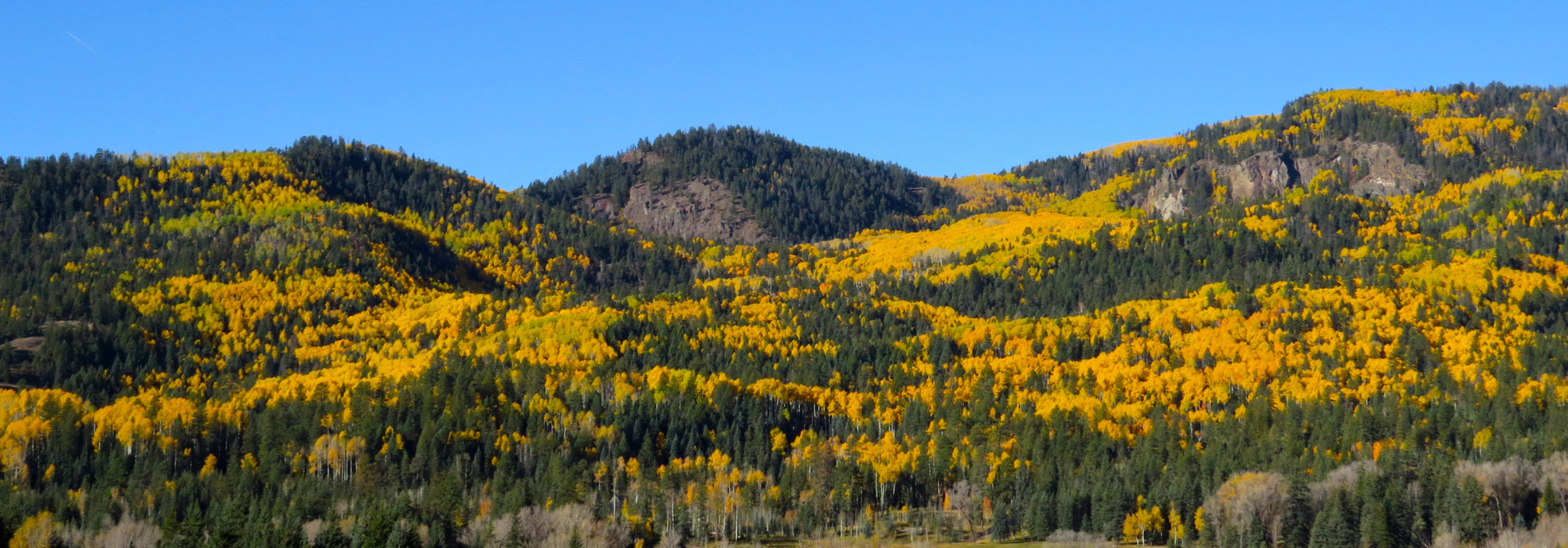 Pagosa Springs Market Report