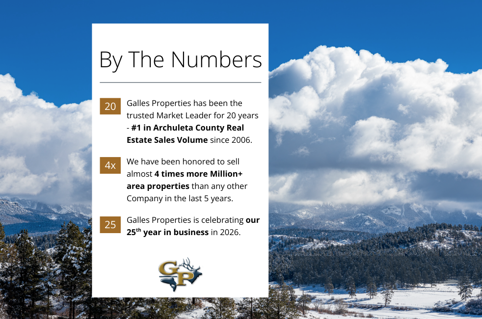 Pagosa Springs ranch porch with mountain view